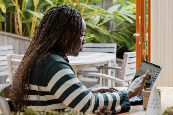 Categorias da Fellipelli